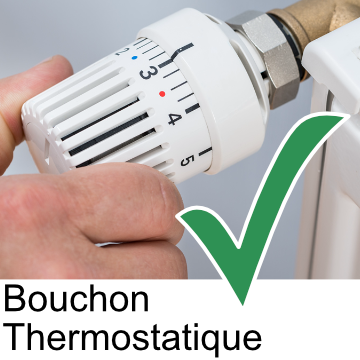 Radiateurs hydraulique avec vanne thermostatique
